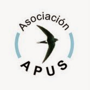 Asociación APUS (España)