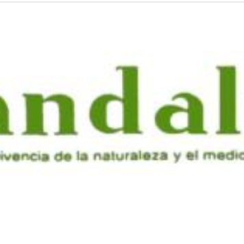 Asociación Andalus (Andalucía)